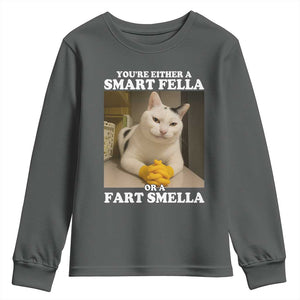 Funny Cat Meme Youth Sweatshirt You Are Either A Smart Fella Or A Fart Smella TS14 Dark Heather Print Your Wear