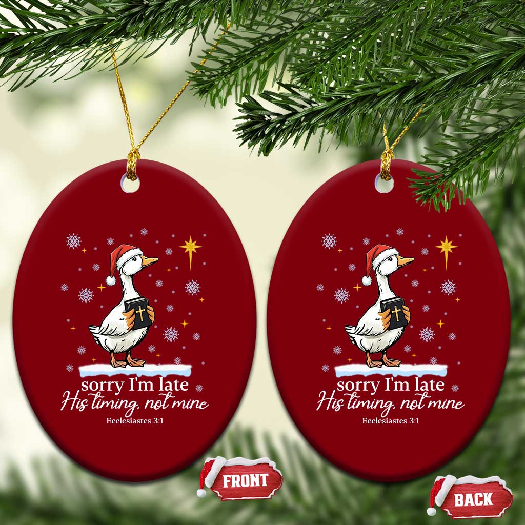 Christian Silly Goose Ceramic Ornament Sorry I Am Late His Timing Not Mine TS14 Print Your Wear