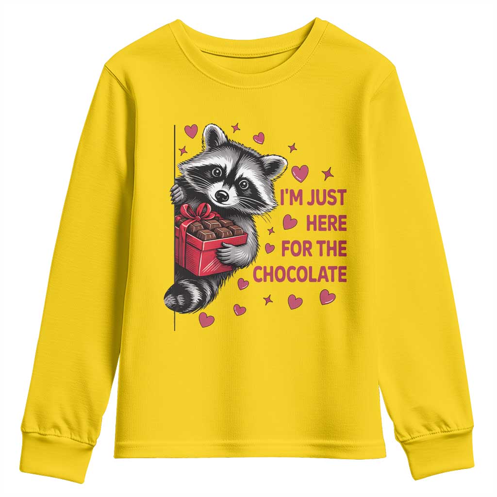 Valentine Racoon Trash Panda Youth Sweatshirt I'm Just Here For The Chocolate TS14 Daisy Print Your Wear