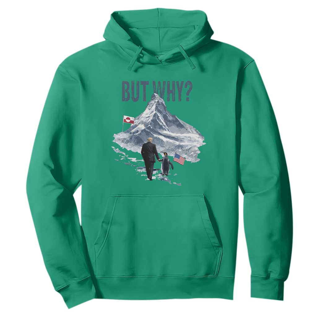 But Why Penguin Hoodie Head Towards The Mountains Penguin Meme TS14 Irish Green Print Your Wear