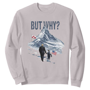 But Why Penguin Sweatshirt Head Towards The Mountains Penguin Meme TS14 Ice Gray Print Your Wear