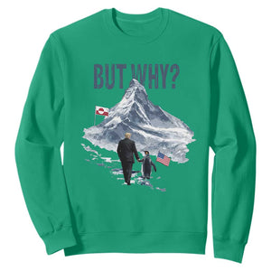 But Why Penguin Sweatshirt Head Towards The Mountains Penguin Meme TS14 Irish Green Print Your Wear