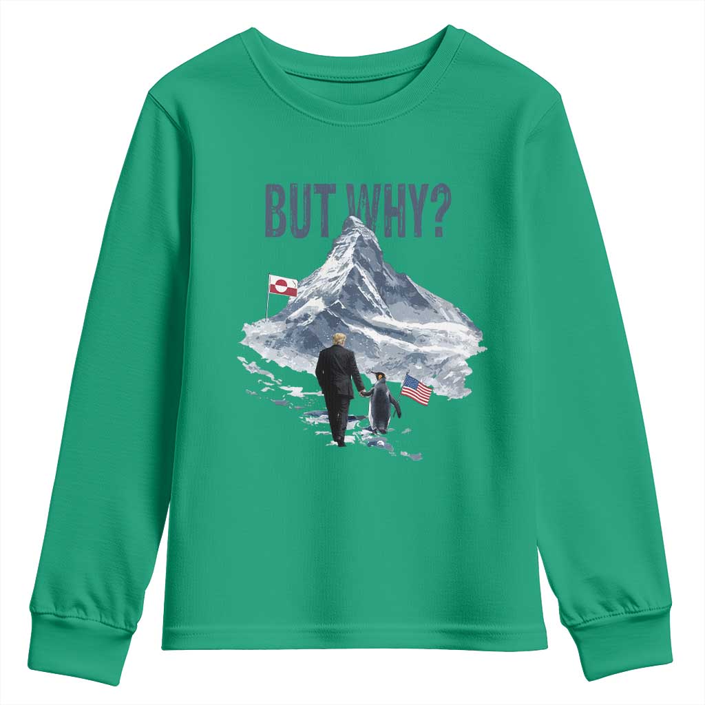But Why Penguin Youth Sweatshirt Head Towards The Mountains Penguin Meme TS14 Irish Green Print Your Wear