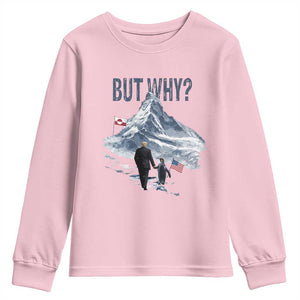 But Why Penguin Youth Sweatshirt Head Towards The Mountains Penguin Meme TS14 Light Pink Print Your Wear