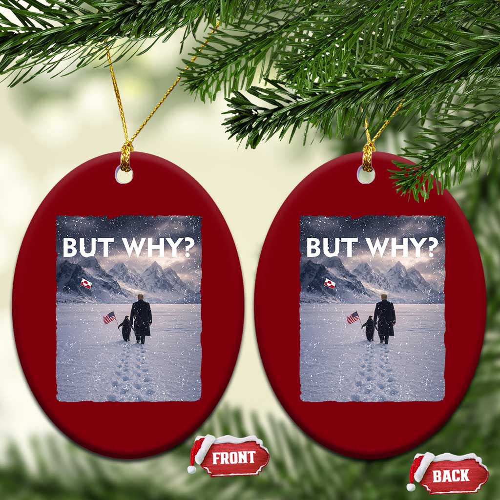 But Why Penguin Ceramic Ornament Trump Nihilist Penguin Political Meme Minimal TS14 Print Your Wear