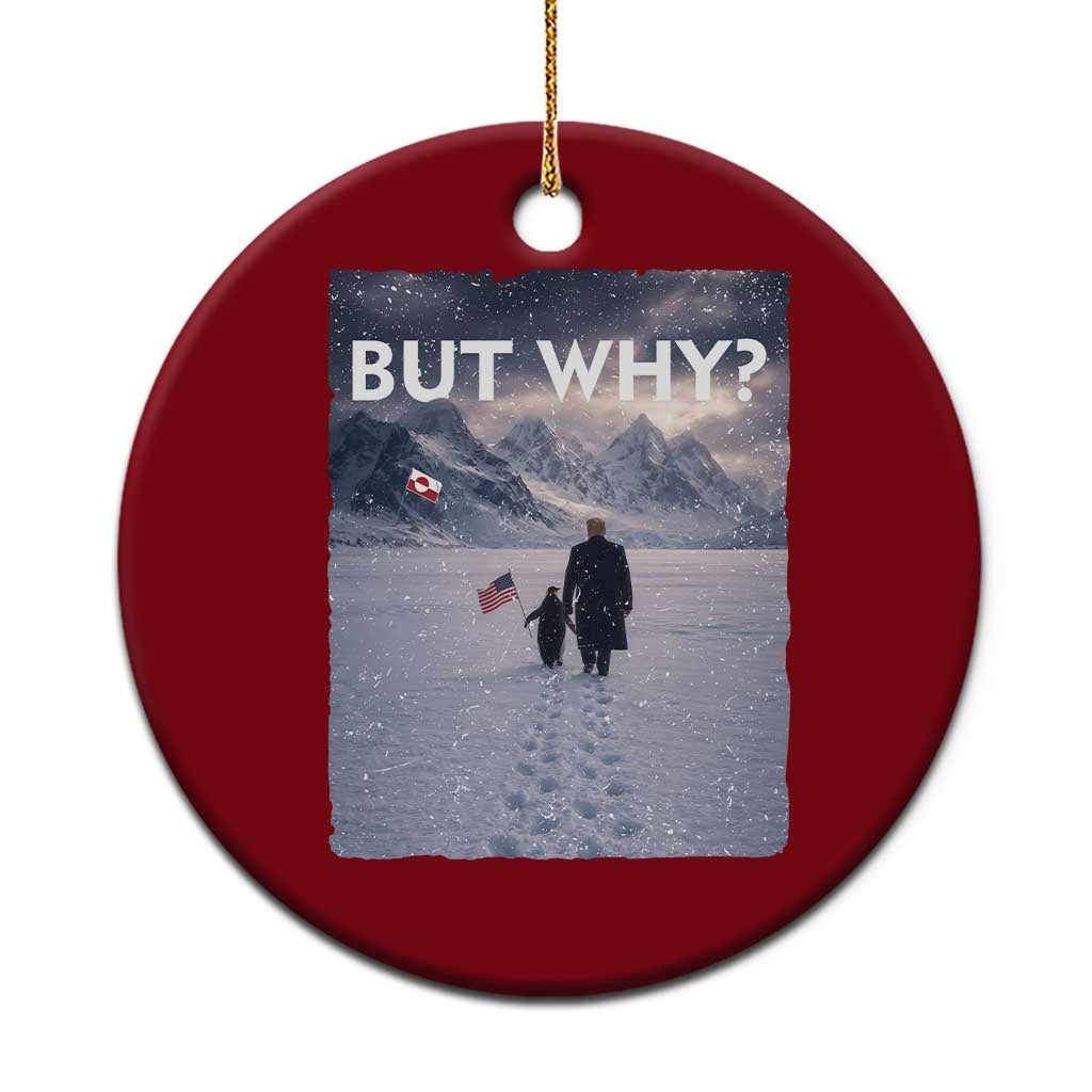But Why Penguin Ceramic Ornament Trump Nihilist Penguin Political Meme Minimal TS14 1pc Red Print Your Wear