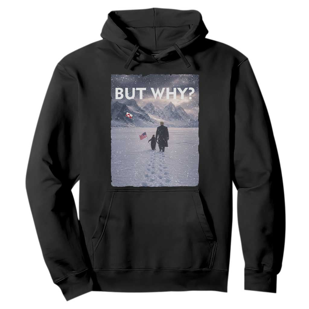 But Why Penguin Hoodie Trump Nihilist Penguin Political Meme Minimal TS14 Black Print Your Wear
