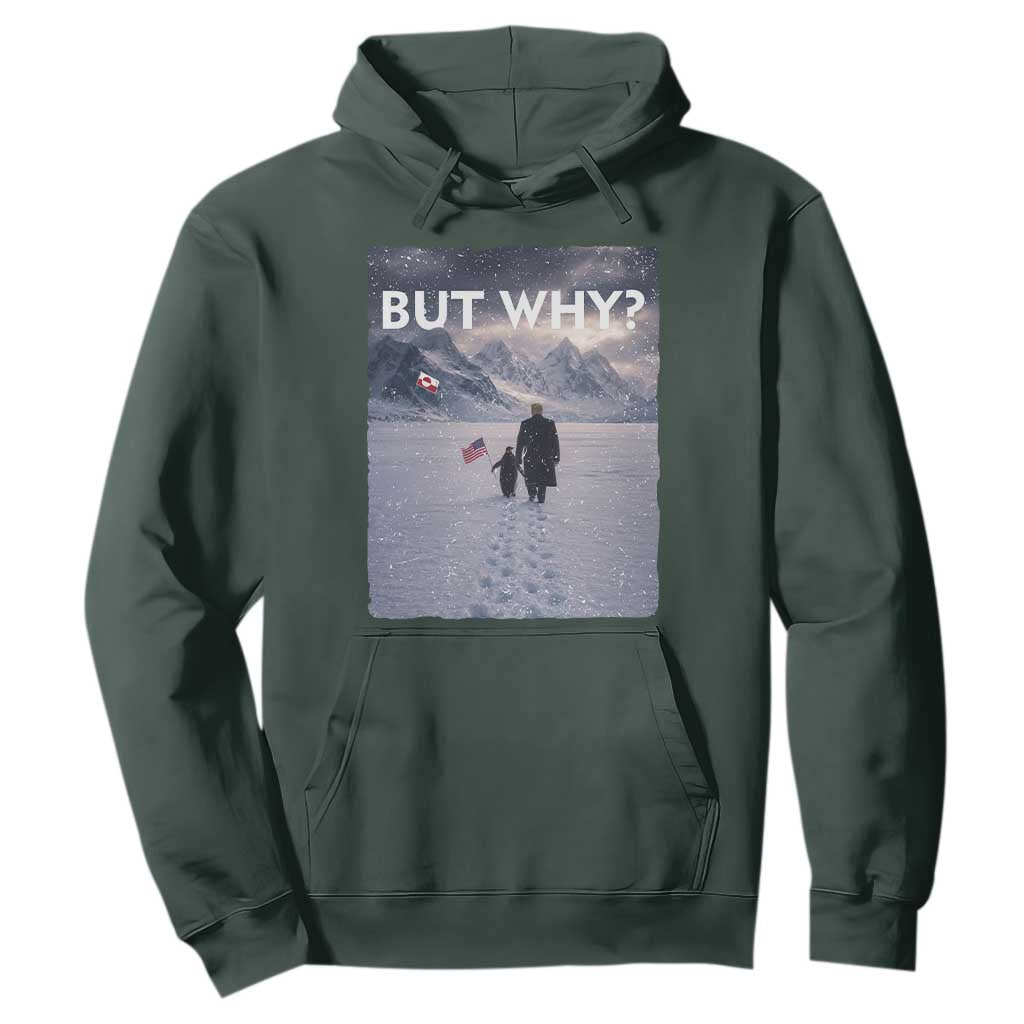 But Why Penguin Hoodie Trump Nihilist Penguin Political Meme Minimal TS14 Dark Forest Green Print Your Wear