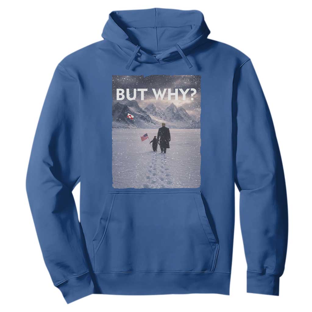 But Why Penguin Hoodie Trump Nihilist Penguin Political Meme Minimal TS14 Royal Blue Print Your Wear