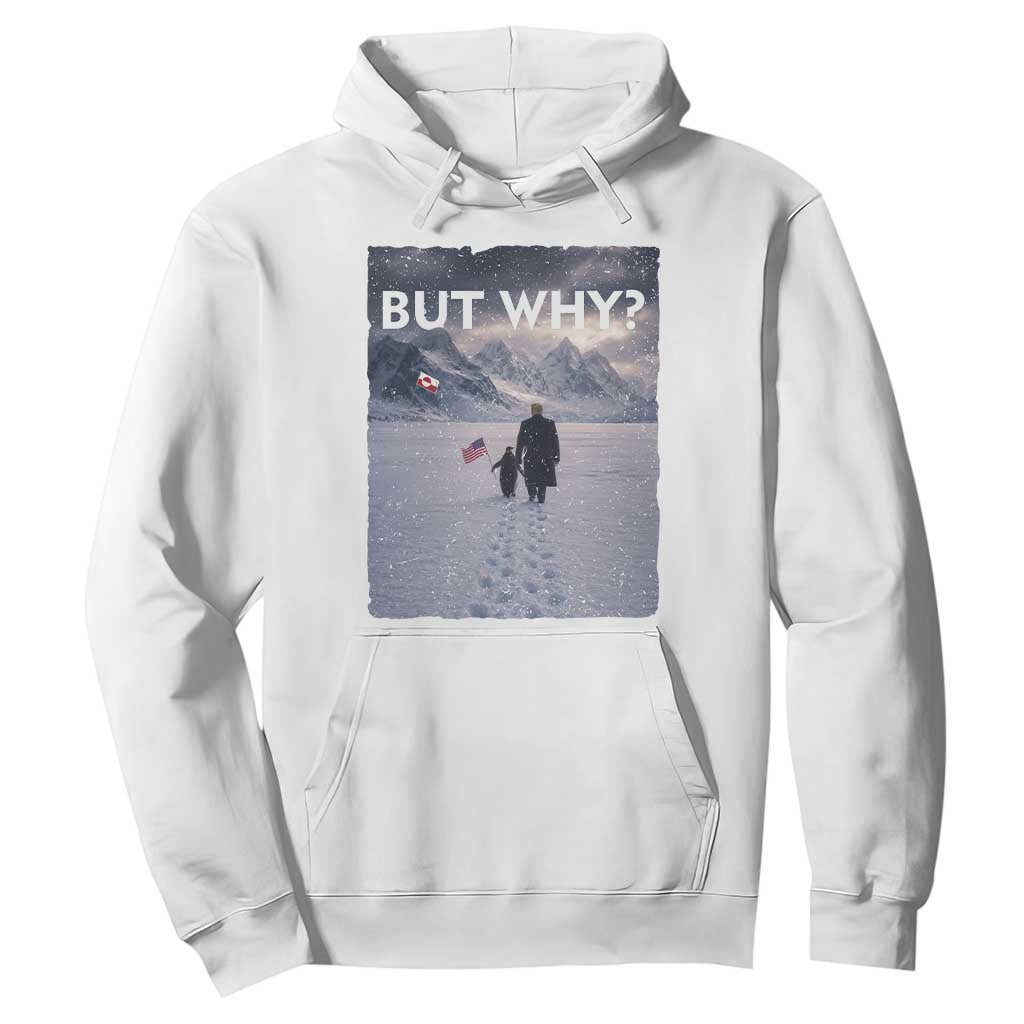 But Why Penguin Hoodie Trump Nihilist Penguin Political Meme Minimal TS14 White Print Your Wear
