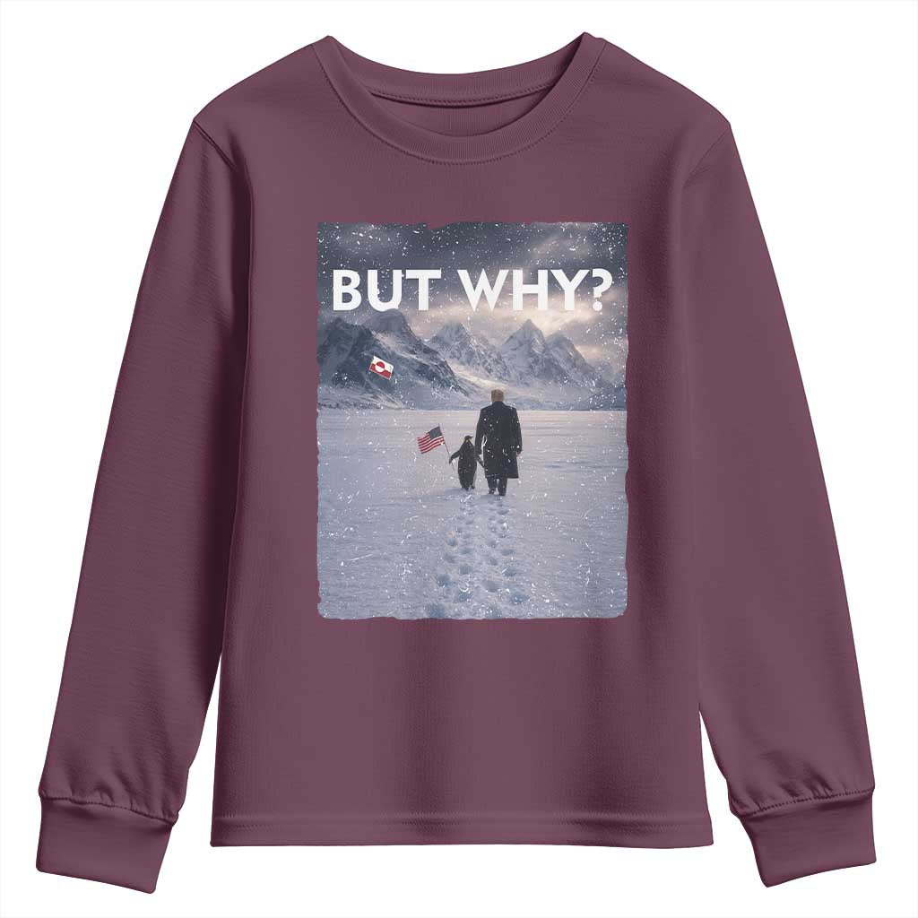 But Why Penguin Youth Sweatshirt Trump Nihilist Penguin Political Meme Minimal TS14 Maroon Print Your Wear
