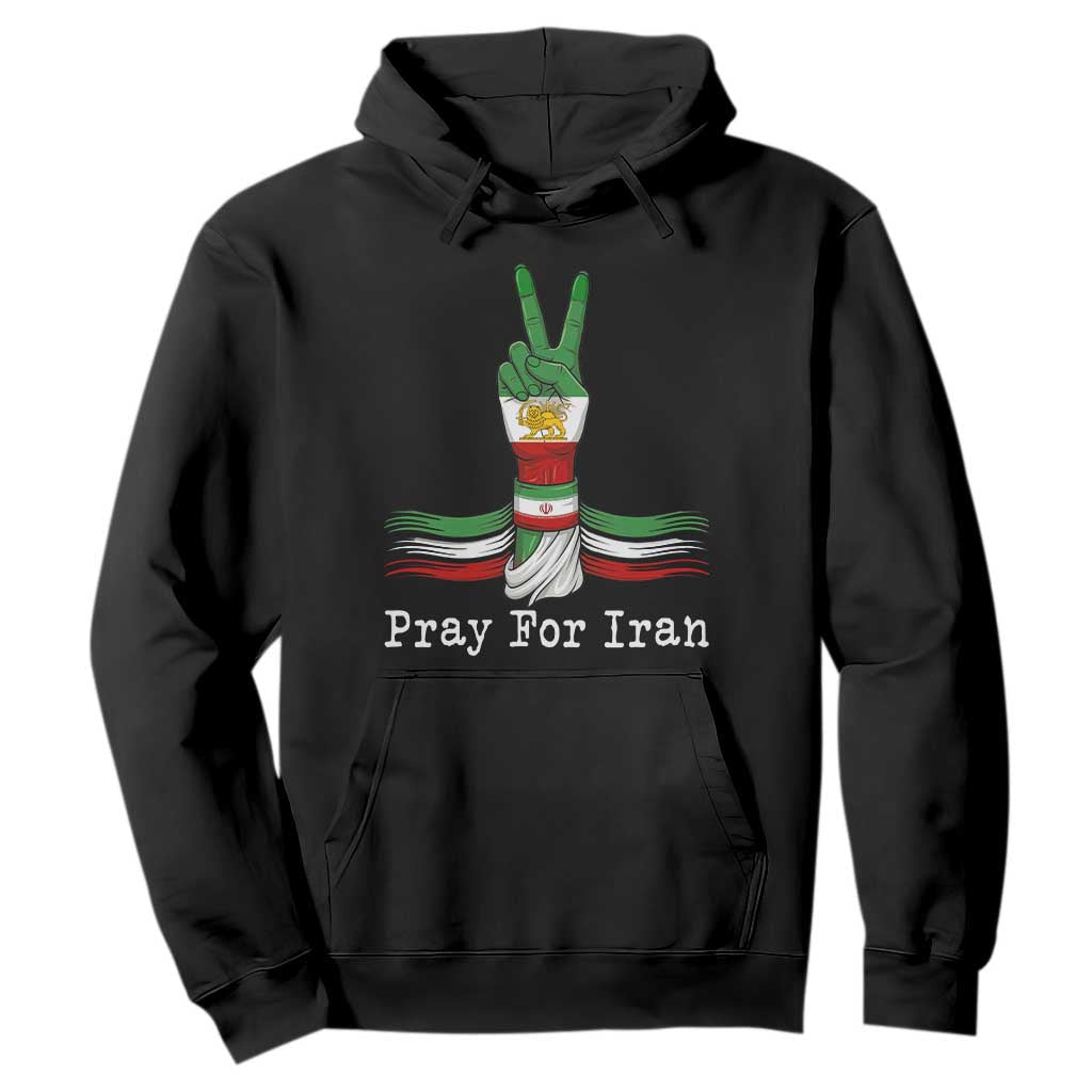 Free Iran Support Hoodie Pray For Iran TS14 Black Print Your Wear