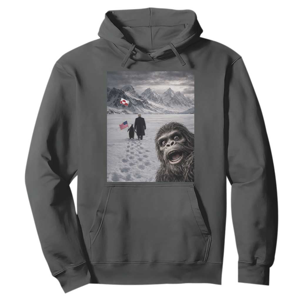 Nihilist Penguin Trump Hiking Mountains Hoodie Funny Bigfoot Selfie But Why TS14 Dark Heather Print Your Wear