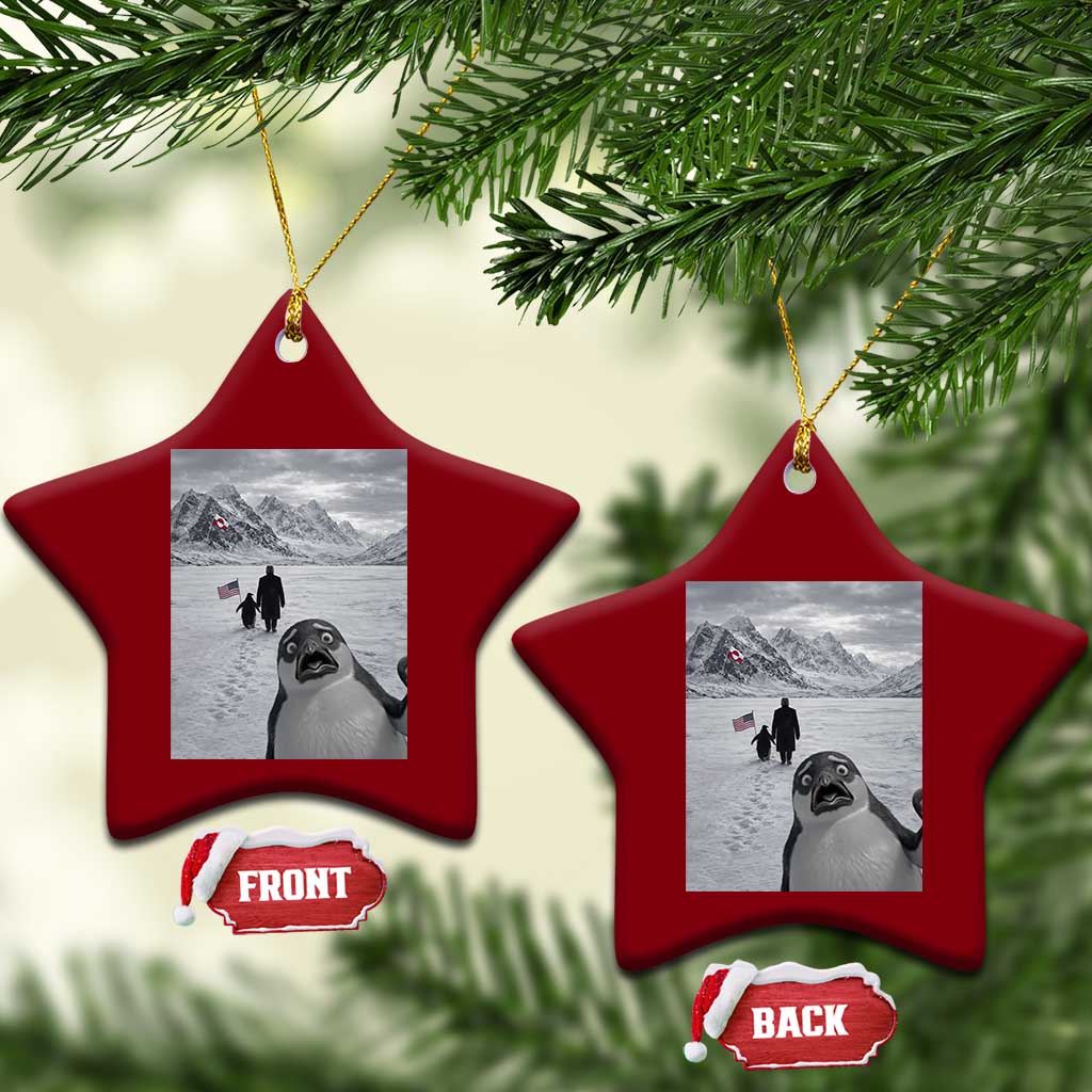 Nihilist Penguin Trump Hiking Mountains Ceramic Ornament Funny Penguin Selfie But Why TS14 Print Your Wear
