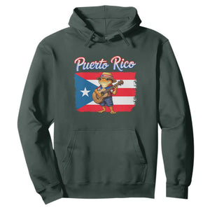 Coqui Frog Puerto Rico Flag Hoodie Puerto Rican Taino Boricua