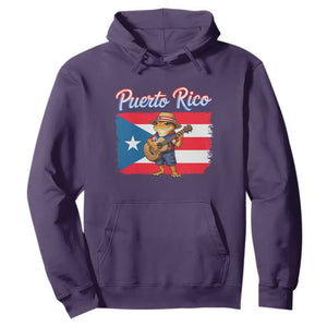 Coqui Frog Puerto Rico Flag Hoodie Puerto Rican Taino Boricua