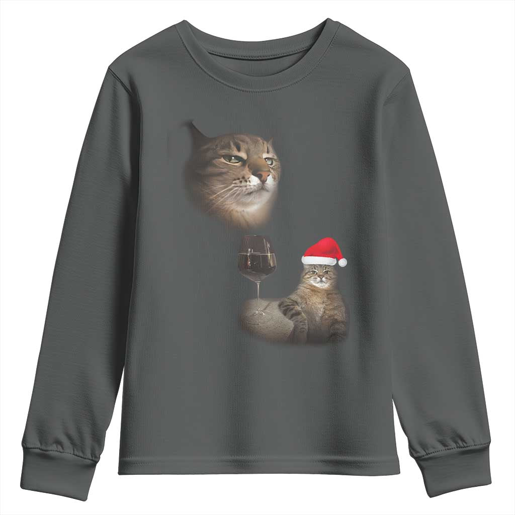 Funny Cat Christmas Youth Sweatshirt Cats Drinking Wine Oddly Specific Meme TS14 Dark Heather Print Your Wear