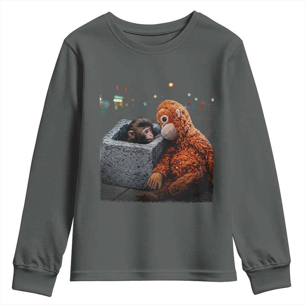Punch Mokey Youth Sweatshirt Viral Trend Baby Monkey Streets Meme TS14 Dark Heather Print Your Wear