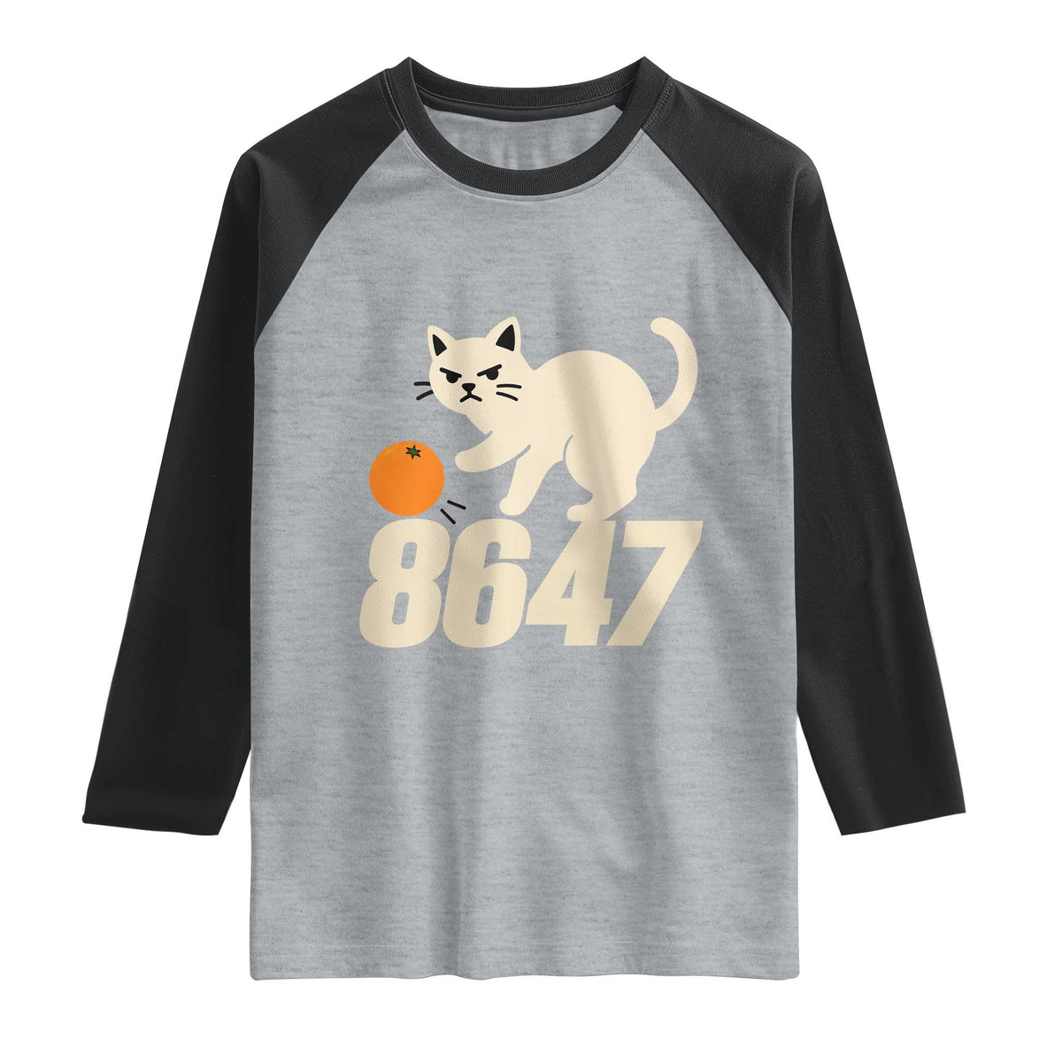 8647 FDT Raglan Shirt Funny Cat Political Meme TS14 Heather Gray Black Print Your Wear