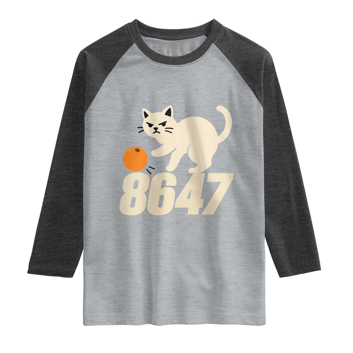 8647 FDT Raglan Shirt Funny Cat Political Meme TS14 Heather Gray Heather Charcoal Print Your Wear