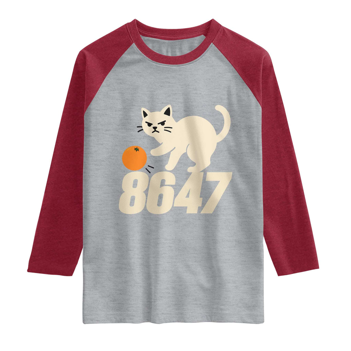 8647 FDT Raglan Shirt Funny Cat Political Meme TS14 Heather Gray Heather Red Print Your Wear