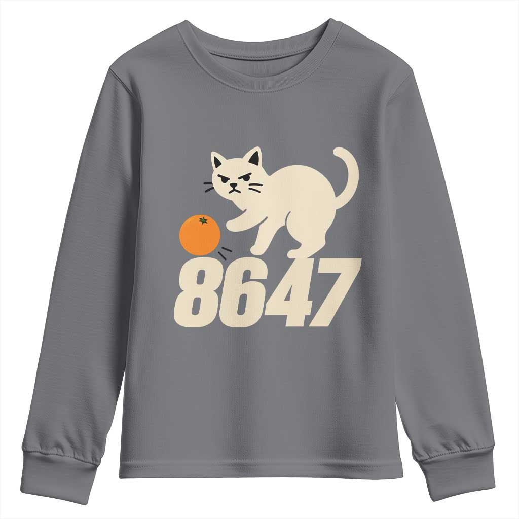 8647 FDT Youth Sweatshirt Funny Cat Political Meme TS14 Charcoal Print Your Wear