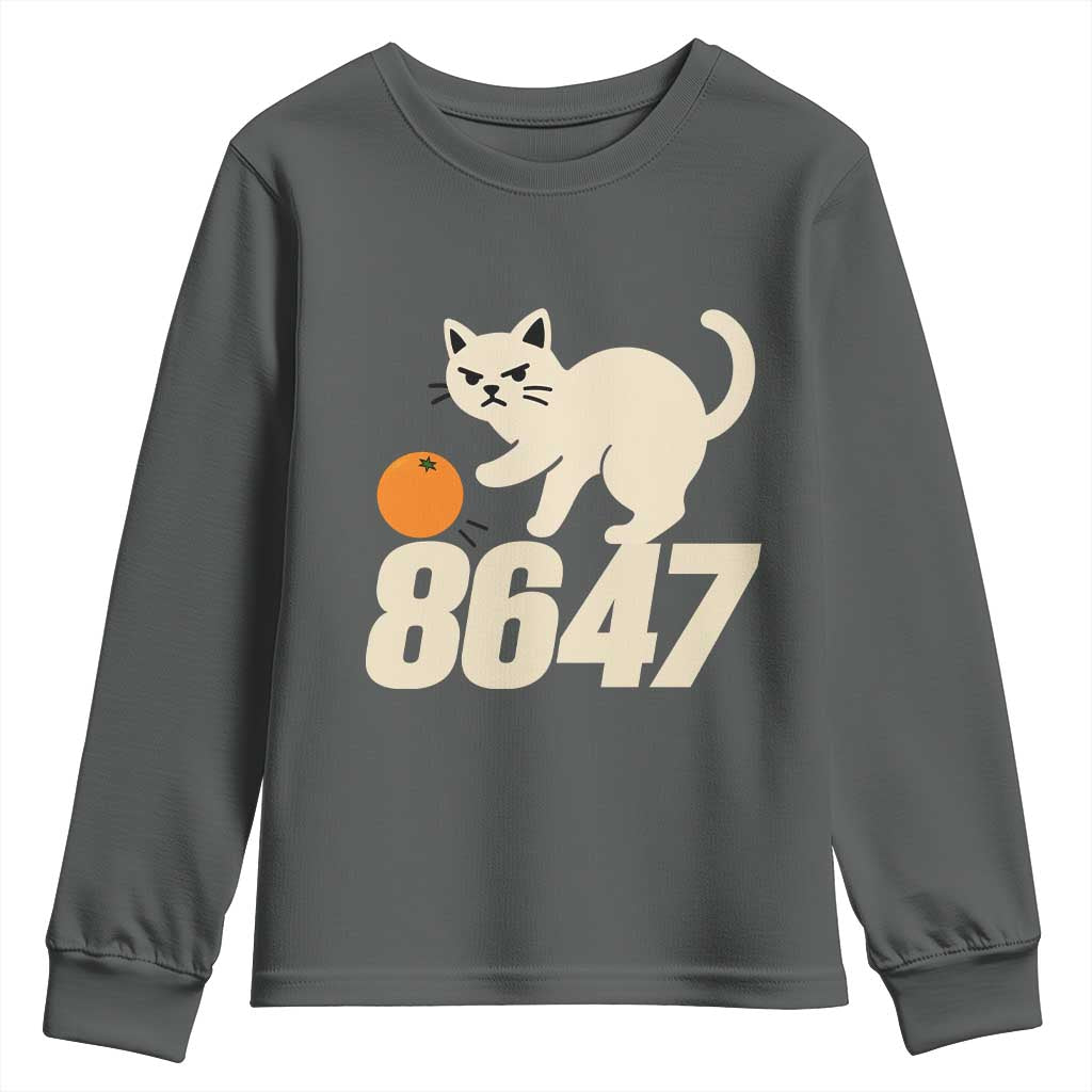 8647 FDT Youth Sweatshirt Funny Cat Political Meme TS14 Dark Heather Print Your Wear