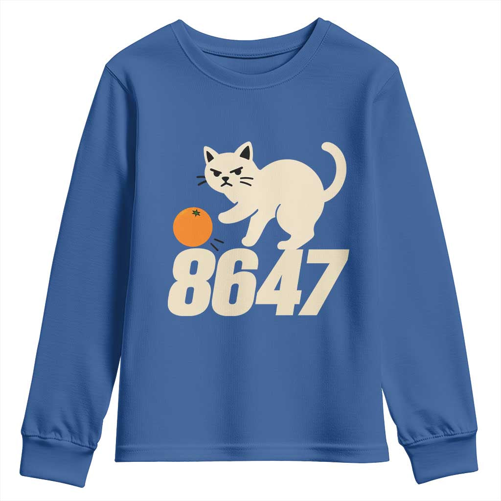 8647 FDT Youth Sweatshirt Funny Cat Political Meme TS14 Royal Blue Print Your Wear
