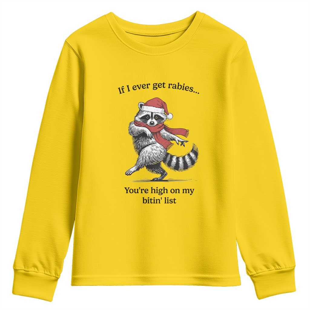 Funny Racoon Christmas Youth Sweatshirt If I Ever Get Rabies You're High On My Bitting List TS14 Daisy Print Your Wear