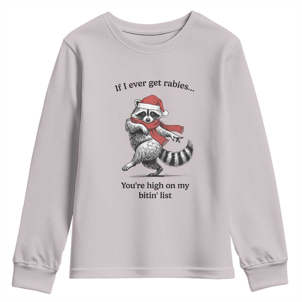 Funny Racoon Christmas Youth Sweatshirt If I Ever Get Rabies You're High On My Bitting List TS14 Ice Gray Print Your Wear