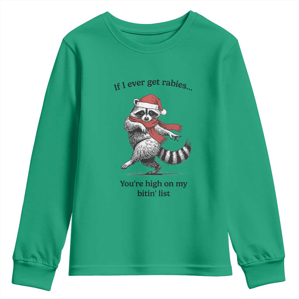 Funny Racoon Christmas Youth Sweatshirt If I Ever Get Rabies You're High On My Bitting List TS14 Irish Green Print Your Wear