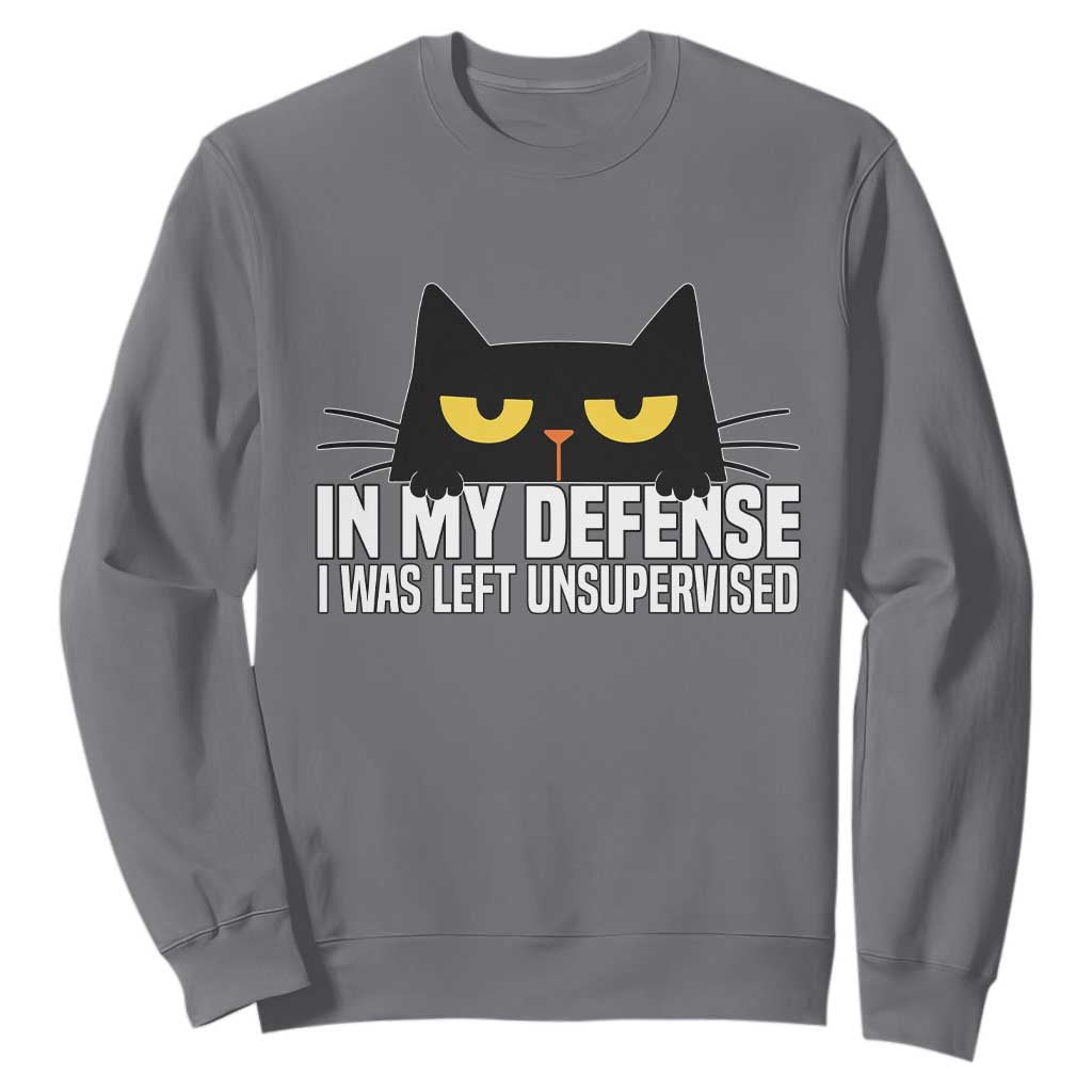 Sarcastic Black Cat Sweatshirt In My Defense I Was Left Unsupervised TS14 Charcoal Print Your Wear