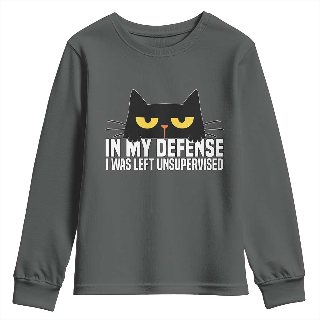 Sarcastic Black Cat Youth Sweatshirt In My Defense I Was Left Unsupervised TS14 Dark Heather Print Your Wear