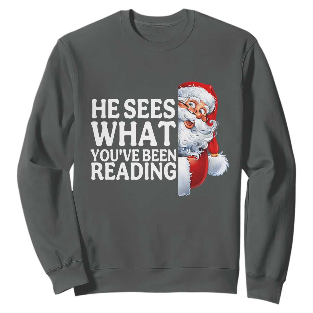 He Sees What You Have Been Reading Sweatshirt Funny Bookish Christmas Book Lover TS14 Dark Heather Print Your Wear