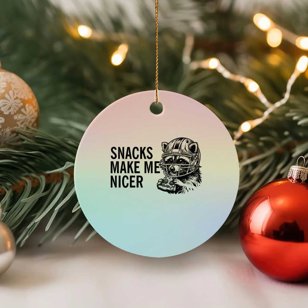 Funny Raccoon Eating Pizza Ceramic Ornament Snacks Make Me Nicer TS14 1pc Pastel Print Your Wear