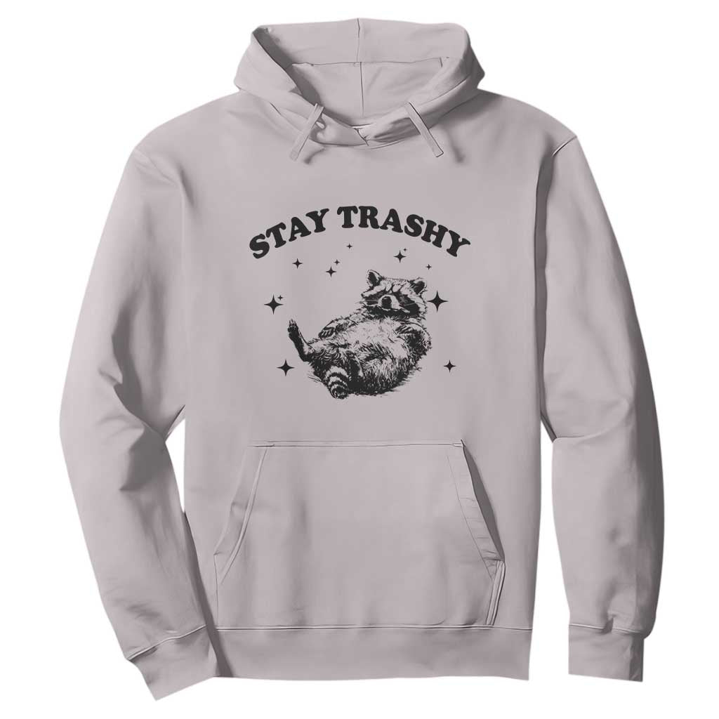 Funny Raccoon Meme Hoodie Stay Trashy TS14 Ice Gray Print Your Wear