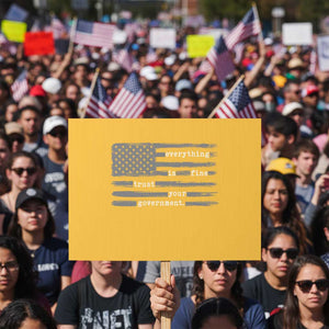 Everything is Fine Trust Your Government Protest Sign Funny Political Sarcastic American Flag TS14 Horizontal 18" × 24" Yellow Print Your Wear