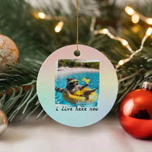 I Live Here Now Raccoon Ceramic Ornament Funny Summer Vacation Meme TS14 1pc Pastel Print Your Wear