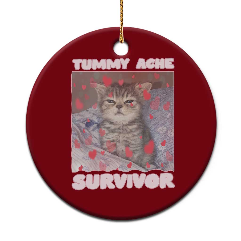 Tummy Ache Survivor Ceramic Ornament Funny Cute Cat Meme TS14 1pc Red Print Your Wear