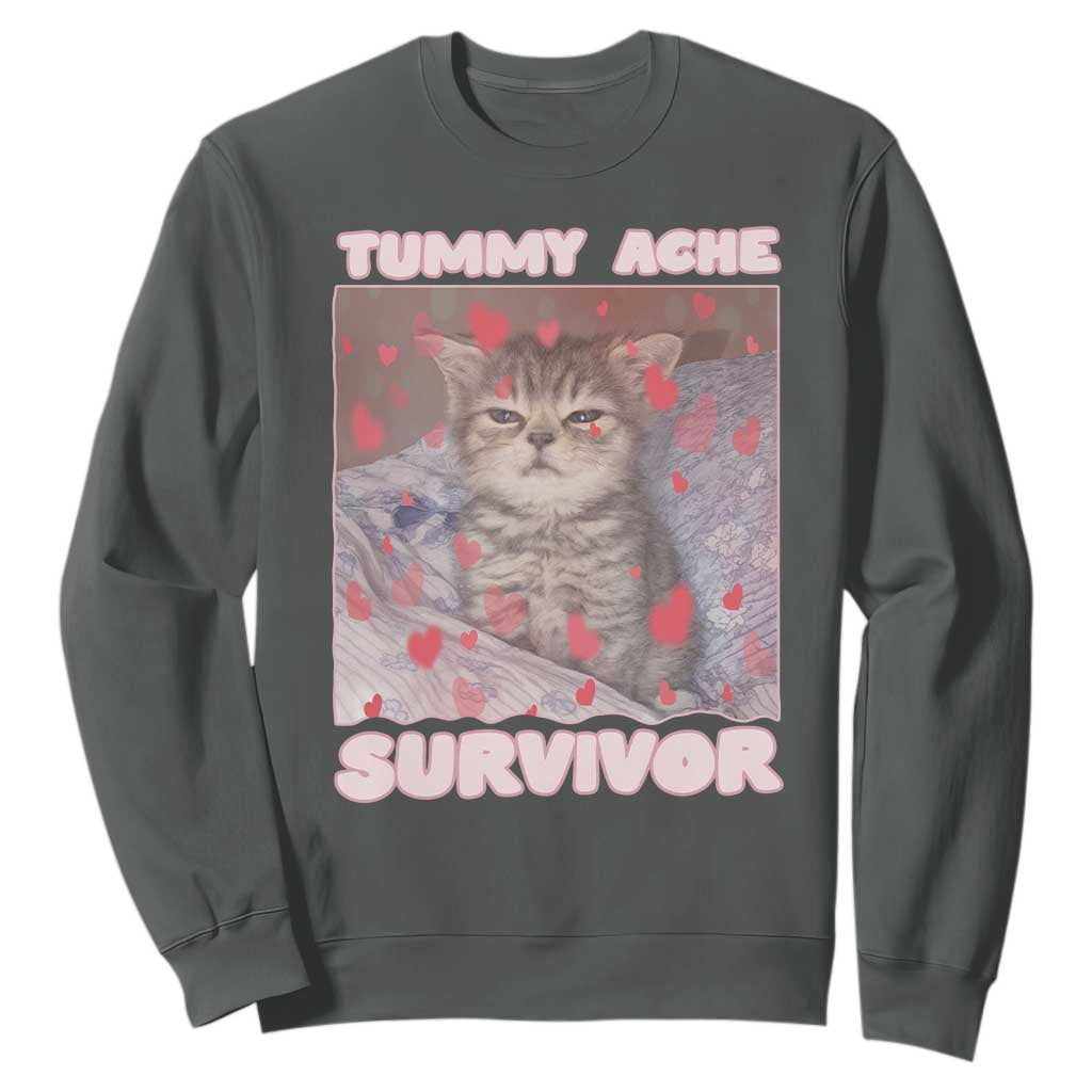 Tummy Ache Survivor Sweatshirt Funny Cute Cat Meme TS14 Dark Heather Print Your Wear