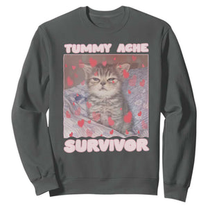 Tummy Ache Survivor Sweatshirt Funny Cute Cat Meme TS14 Dark Heather Print Your Wear
