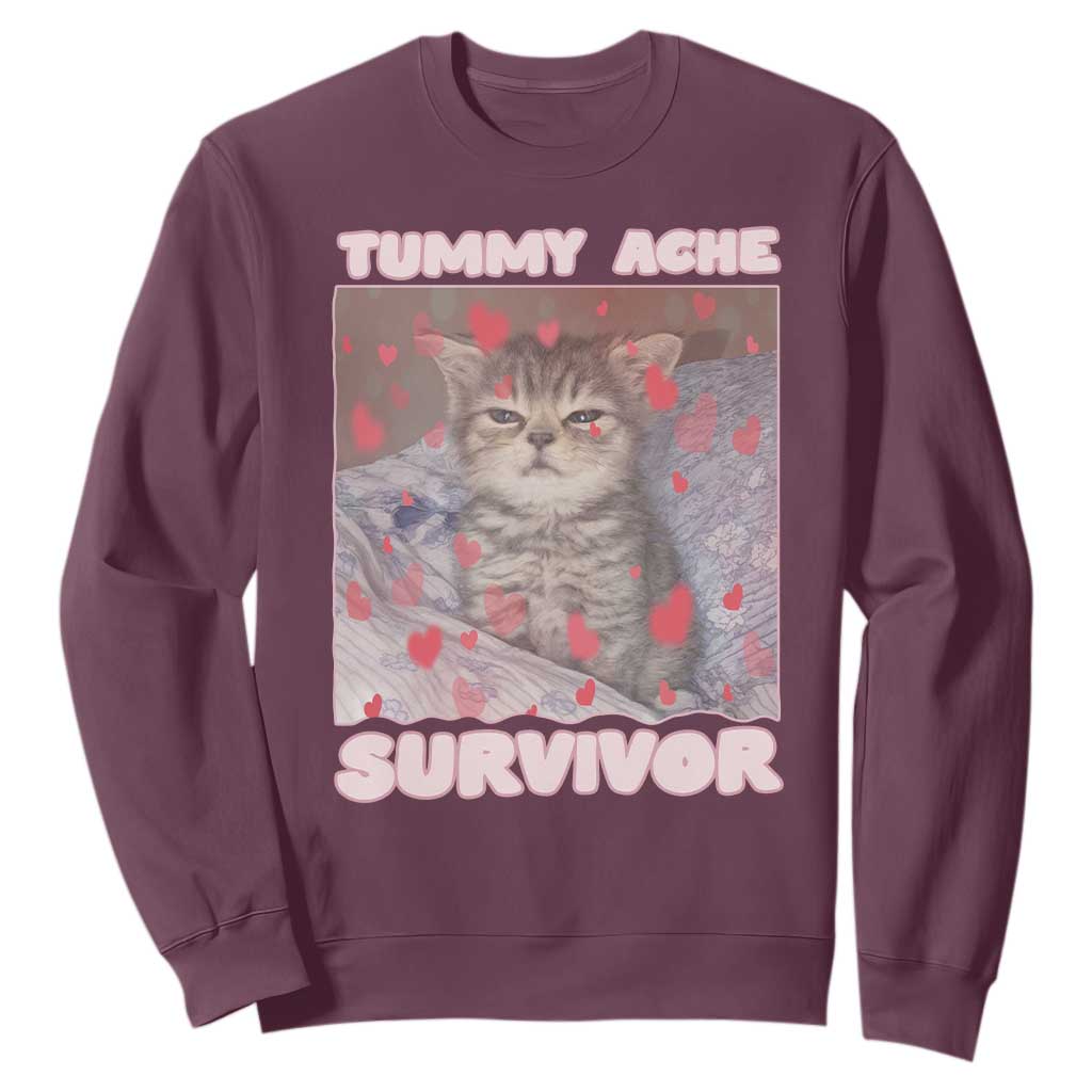 Tummy Ache Survivor Sweatshirt Funny Cute Cat Meme TS14 Maroon Print Your Wear