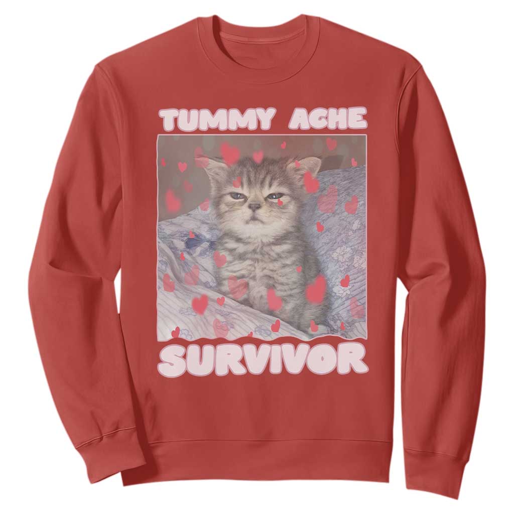 Tummy Ache Survivor Sweatshirt Funny Cute Cat Meme TS14 Red Print Your Wear