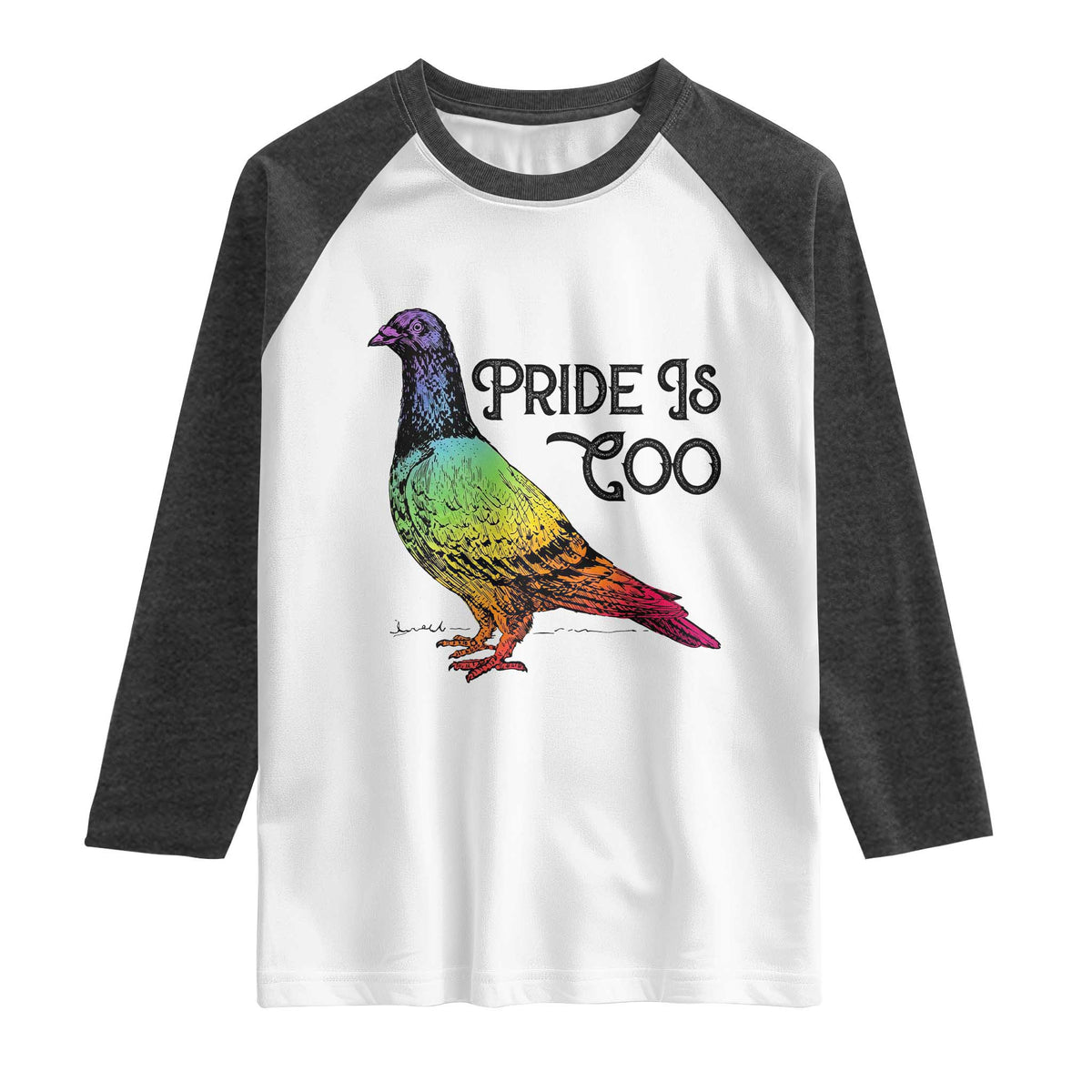 Pride Is Coo Pigeon Raglan Shirt Funny LGBTQ Pride Month TS14 White Heather Charcoal Print Your Wear