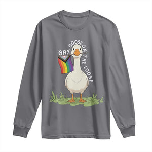 Silly Goose LGBTQ Rainbow Long Sleeve Shirt Funny Gay Pride Month