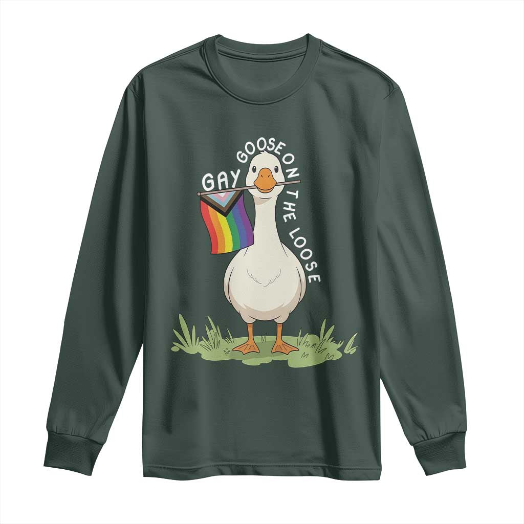 Silly Goose LGBTQ Rainbow Long Sleeve Shirt Funny Gay Pride Month
