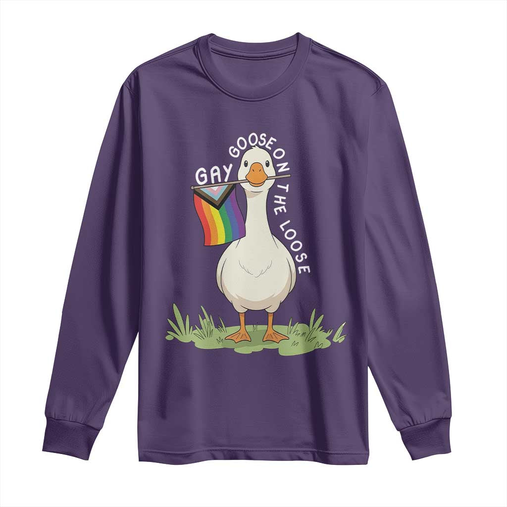 Silly Goose LGBTQ Rainbow Long Sleeve Shirt Funny Gay Pride Month