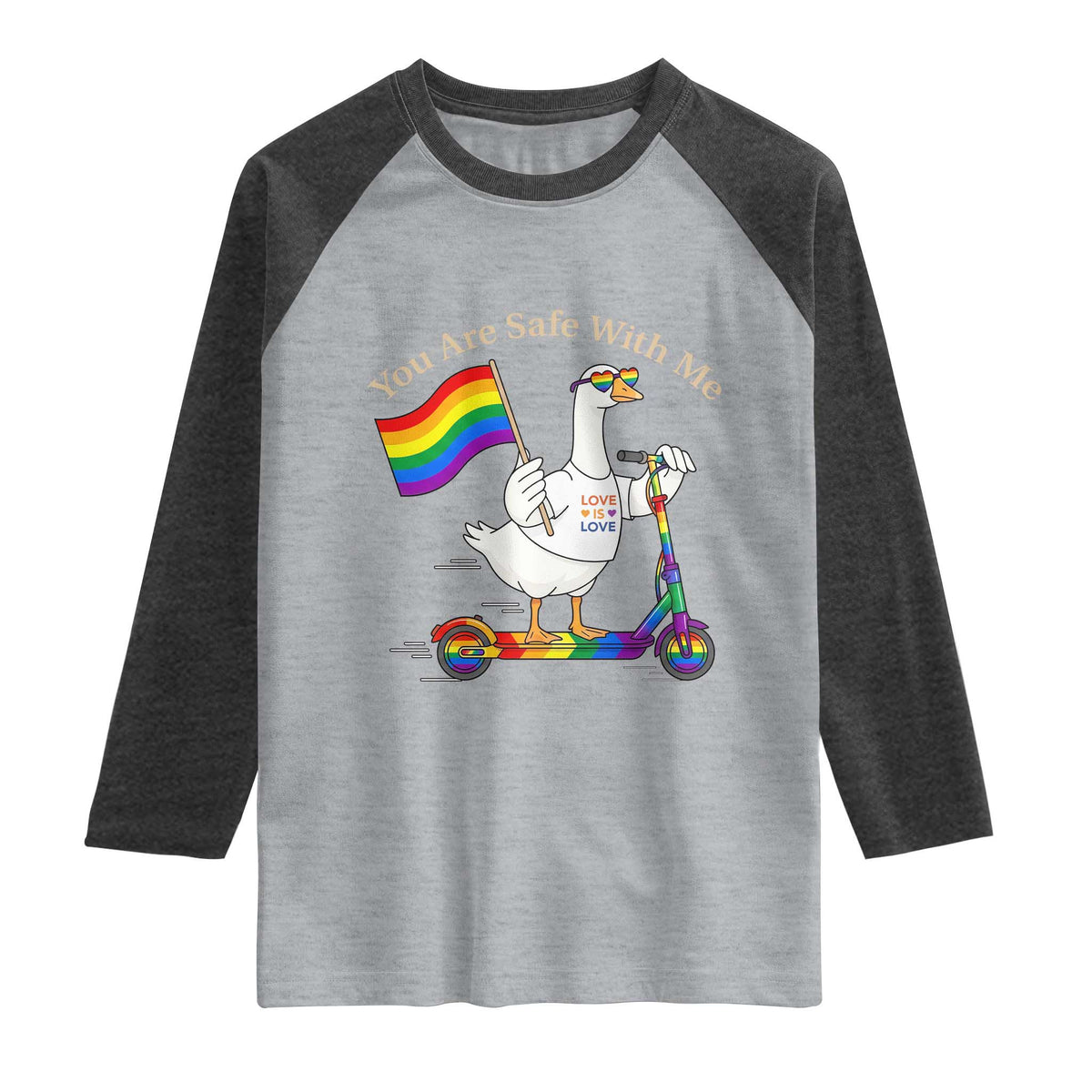 You Are Safe With Me Raglan Shirt LGBTQ Pride Goose Rainbow TS14 Heather Gray Heather Charcoal Print Your Wear