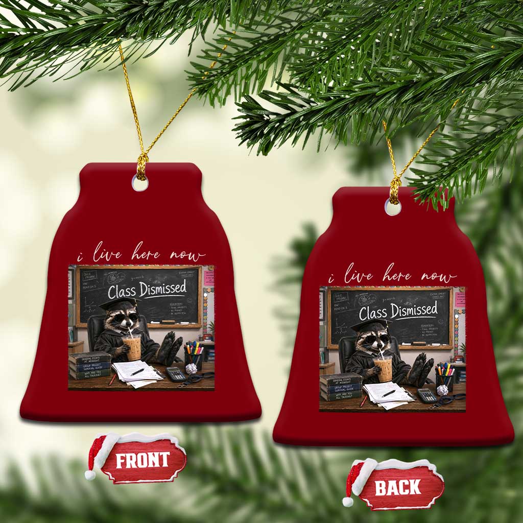 Funny Raccoon Graduation Ceramic Ornament I Live Here Now TS14 Print Your Wear