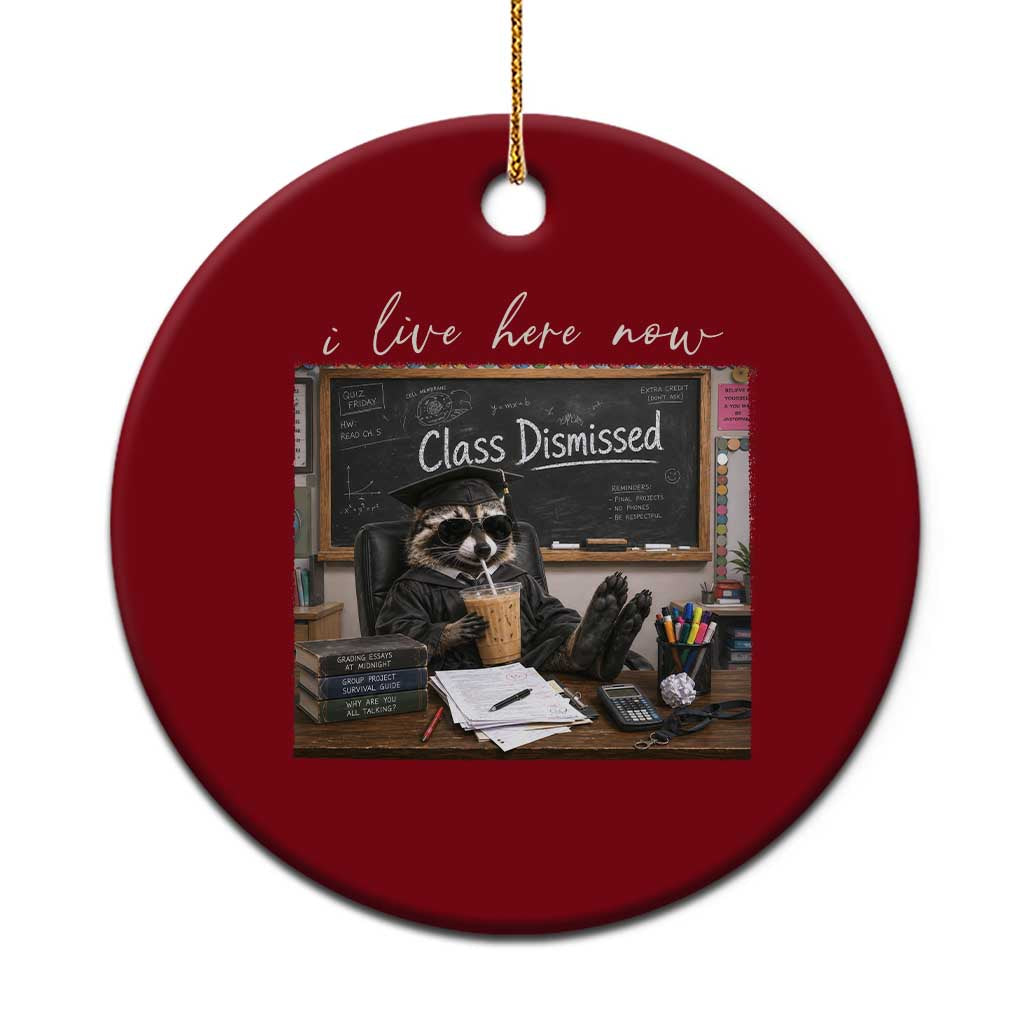 Funny Raccoon Graduation Ceramic Ornament I Live Here Now TS14 1pc Red Print Your Wear